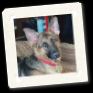 CC DSC02900.jpg